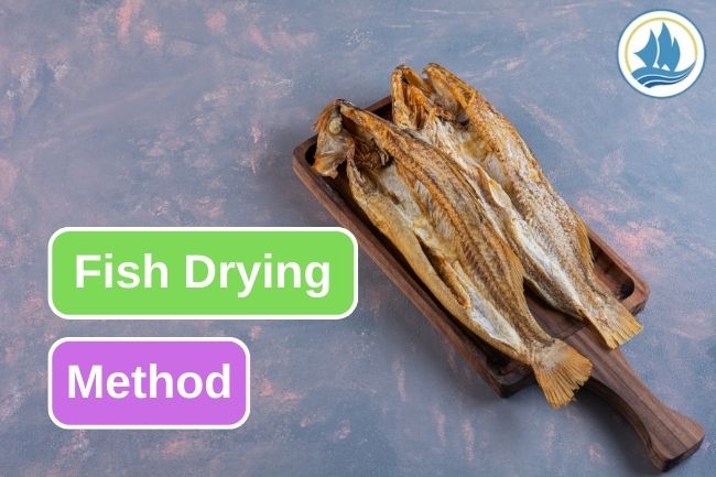 Learn How to Preserve Fish With Drying